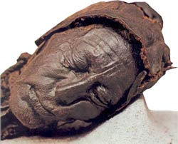 Tollund Man