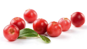 Cranberries: Sour to Eat but Sweet to the Skin