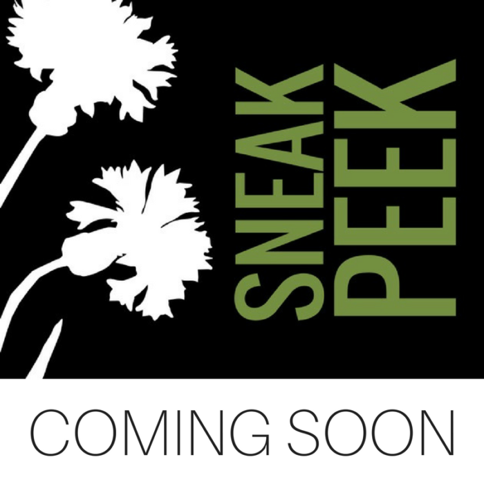 Makes Scents Natural Spa Line - Sneak Peek